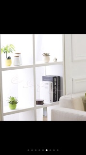 Chậu cây cảnh mini