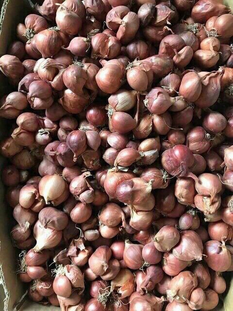 Sét 2kg hành ta phi( sấy giòn) nhà làm