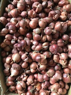 Sét 2kg hành ta phi( sấy giòn) nhà làm