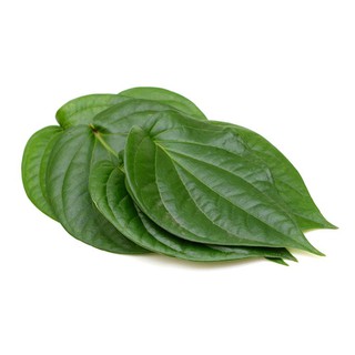 [FRESHIP] 100GR LÁ TRẦU KHÔNG 21 CÔNG DỤNG CHỮA BỆNH (TƯƠI - KHÔ) HÀNG SẴN TẠI VƯỜN