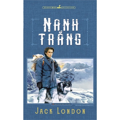 Sách - Nanh Trắng - Jack London - ML-VHTG01-60k-8936067595529