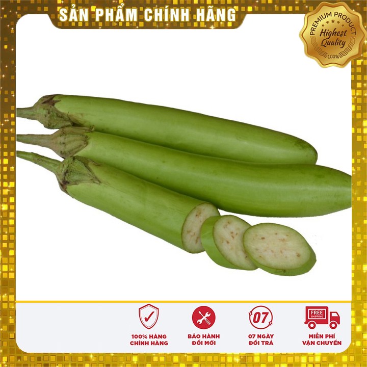 Hạt giống cà xanh lai F1 ( Qủa dài ngon năng suất)