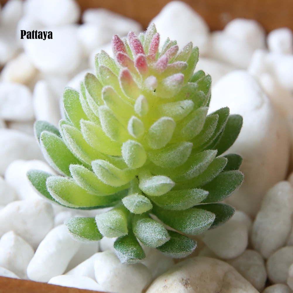 1 Cây Cảnh Giả Bằng Nhựa Cho Trang Trí