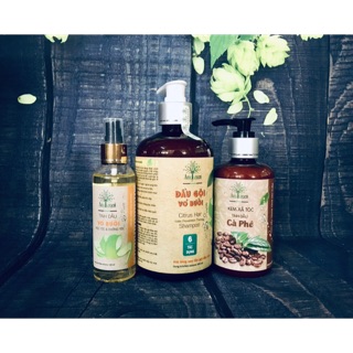 Combo Dầu gội Vỏ Bưởi cao cấp, Serum Tinh dầu bưởi và Kem xả Cafe Amegreen