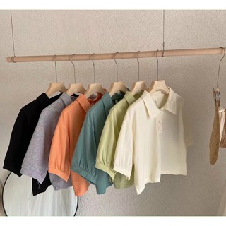 Áo polo croptop nhiều màu trơn