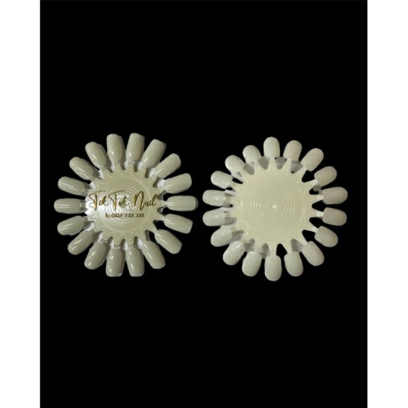 móng vỉ làm bảng màu 10 vỉ