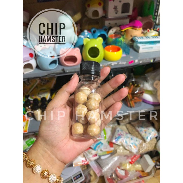 Kẹo Trái Cây [HAMSTER]