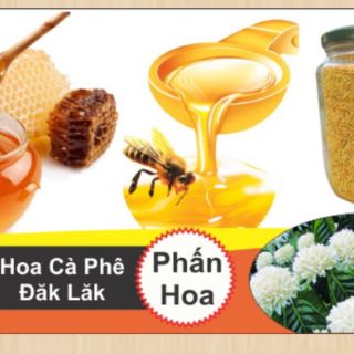 5 lít mật ong hoa cà phê - Vip