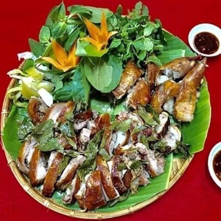 combo 5 cây mắc mật (Chuẩn giống cây trồng)