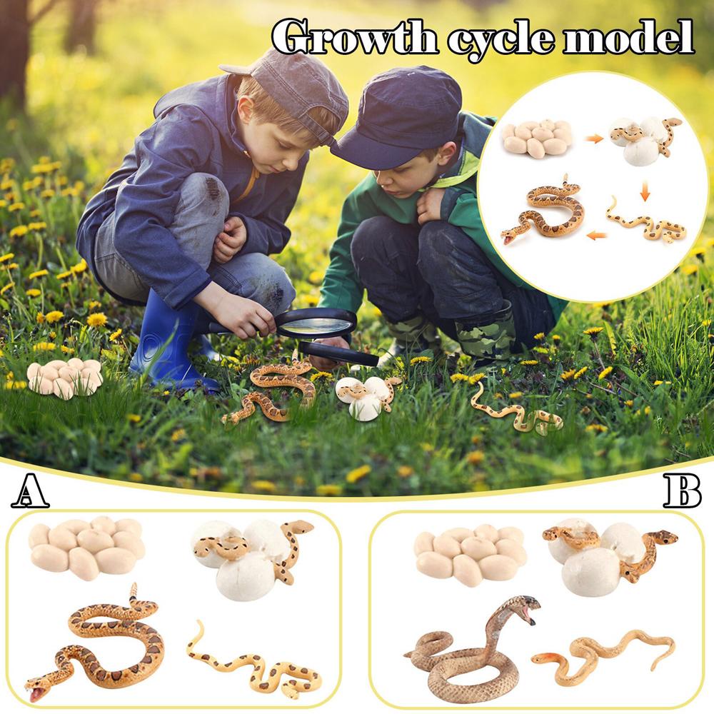 Mô Hình Đồ Chơi Giáo Dục Phát Triển Trí Tuệ Dành Cho Trẻ