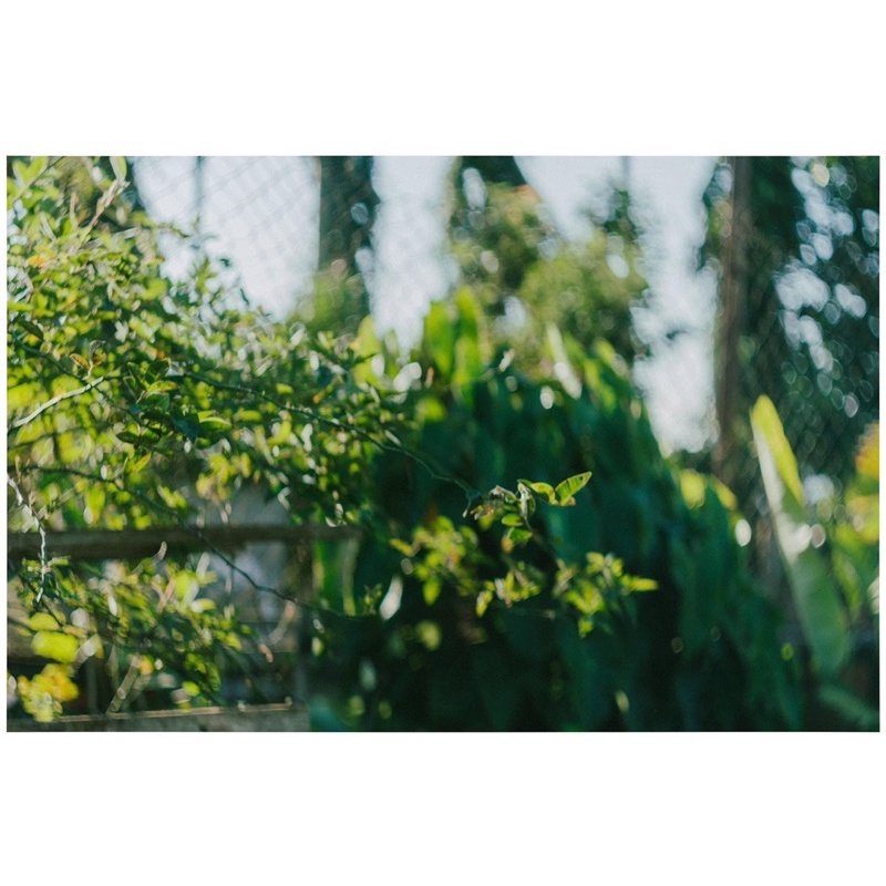 Ống kính MF helios 58/2 mod anamorphic quay phim siêu điện ảnh