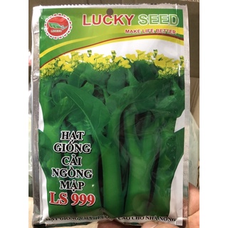 Hạt giống Cải ngồng mập LS 999
