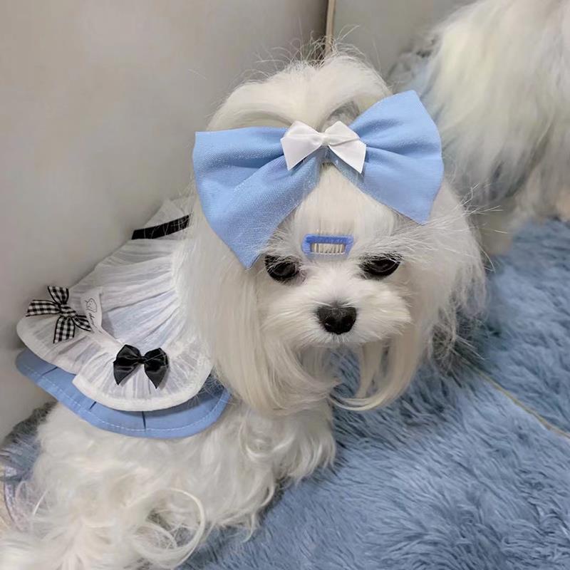 ✿Ch nguyên gốc quần áo chó mèo váy hầu gái vật nuôi Pomeranian Maltese chó nhỏ mô hình mùa xuân và mùa hè [phát hành vào
