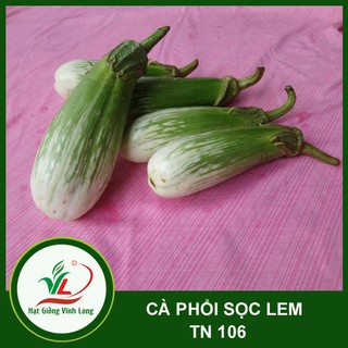 Hạt giống Cà phổi sọc lem TN 106