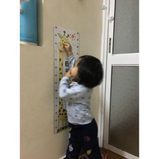 FREESHIP!!!!  Decal Đo Chiều Cao Cho Bé