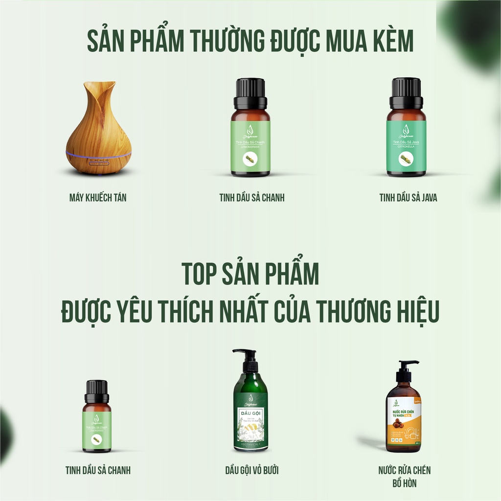 Tinh dầu Tràm Trà 10ml Julyhouse