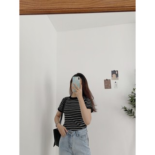 Áo len kẻ mỏng One tay cộc AP319 1994closet