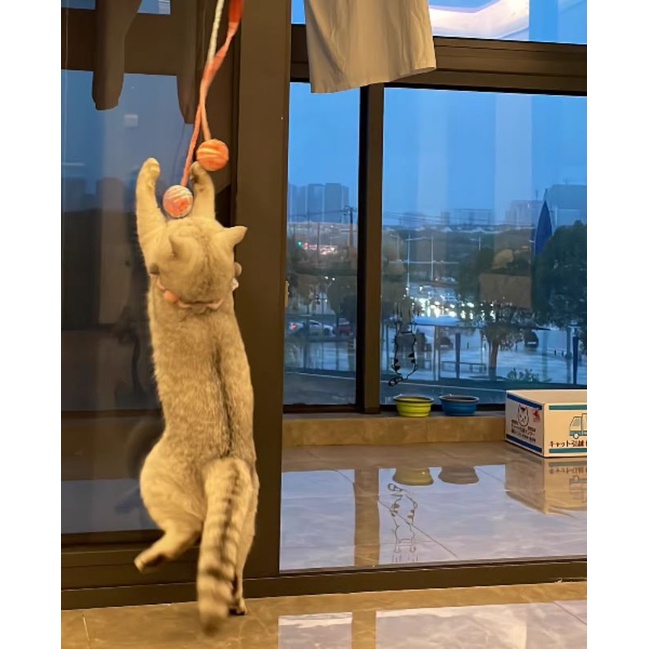 Bóng Len Đồ Chơi Cho Mèo