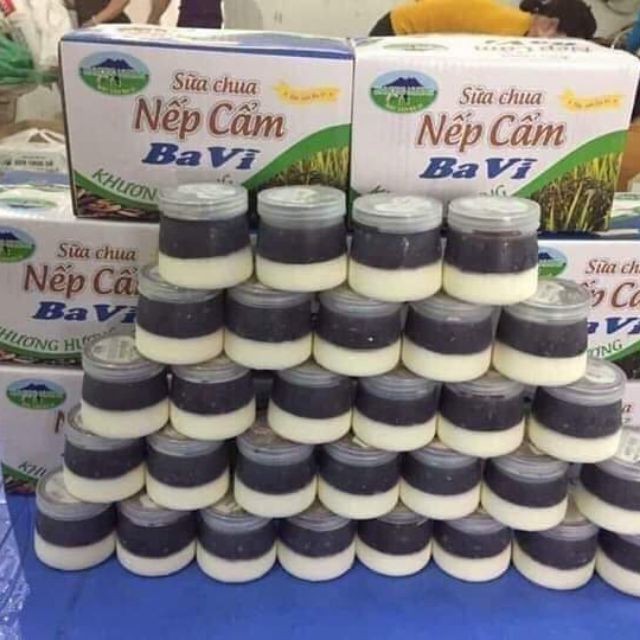 Sữa chua nếp cẩm, sữa chua mix vị Ba Vì - Hiệu Con Bò Vàng hàng chuẩn công ty. Siêu ngon, mềm mịn. G