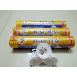 Ống cầu lông 10 trái