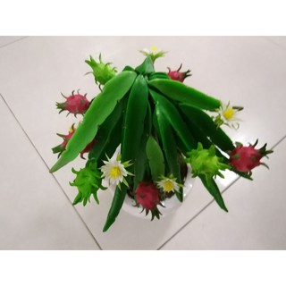 Cây Thanh Long đất sét (hàng thủ công)