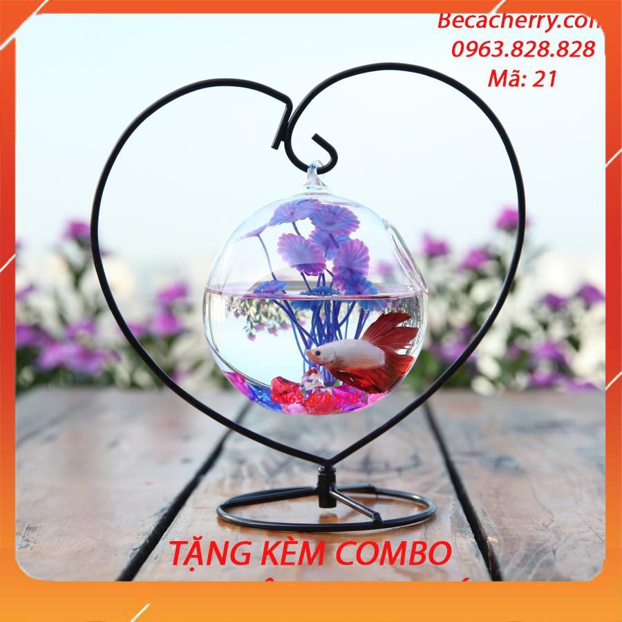 Bể Cá Mini Phong Thủy Hình Trái Tim 21 ( Tặng kèm combo phụ kiện trang trí )