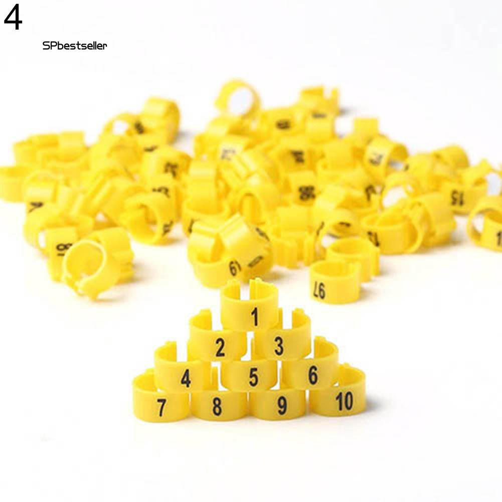 100 Vòng đeo chân chim bồ câu bằng nhựa nhiều màu sắc