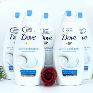 DOVE