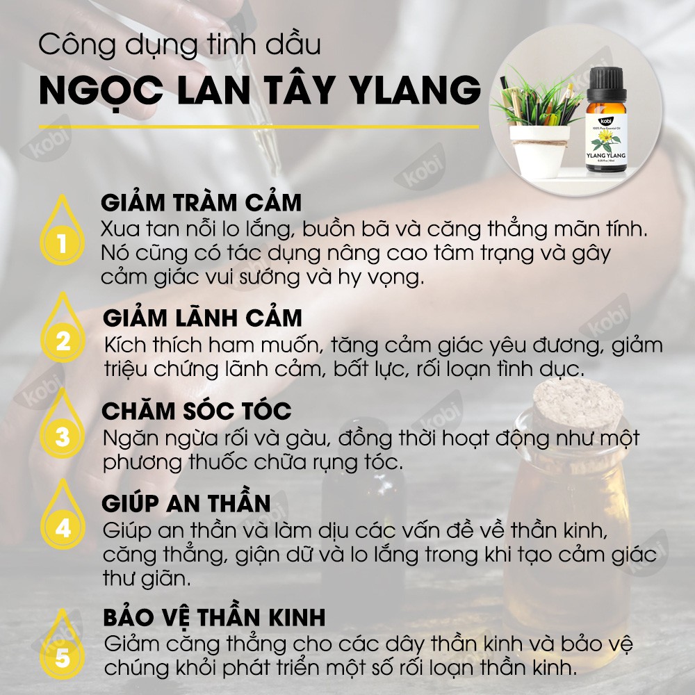 Tinh dầu Ngọc Lan Tây Kobi Ylang Ylang essential oil giúp thơm phòng, tinh thần hứng khởi - 50ml