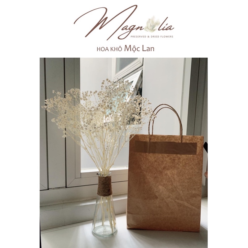 Set lọ hoa khô baby trắng cao cấp