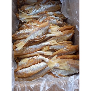 1kg khô cá BÃ TRẦU(CÁ MẮT KIẾNG) to ngon, chắc thịt.