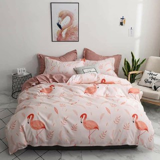 Bộ chăn poly hồng hạc