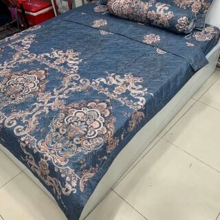 Ga chun 2 vỏ gối chất poly 2mx2m2.