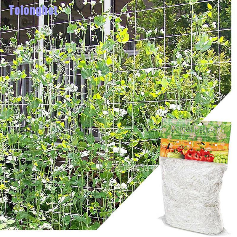 Hàng Rào Lưới Hỗ Trợ Leo Trèo Tiện Lợi