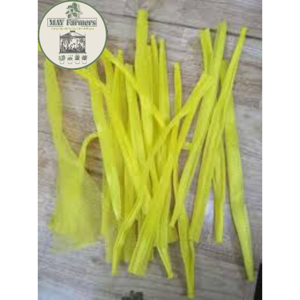 COMBO 10 CÁI LƯỚI LÓT CHẬU LAN