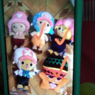 Gấu bông của ngô khang