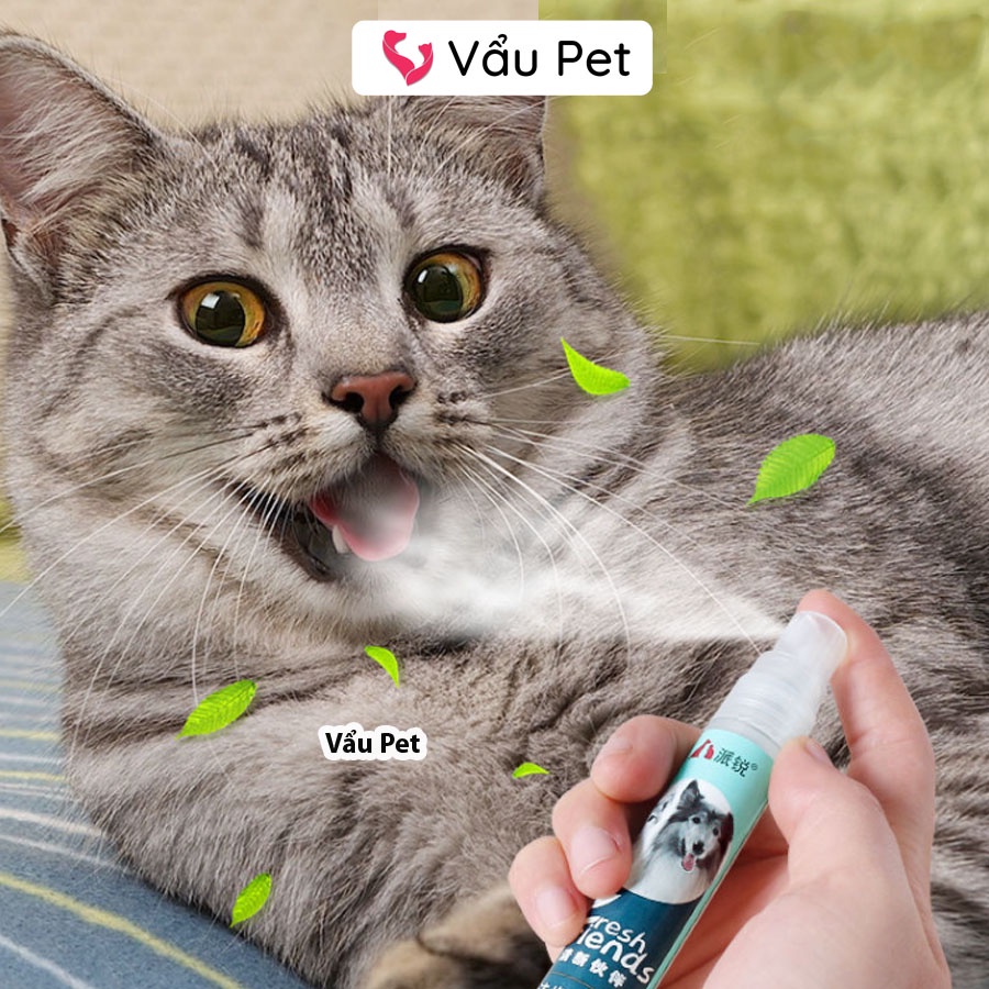 Xịt Thơm Miệng Cho Chó, Mèo Fresh Friend 14ml - Xịt loại bỏ mảng bám cho thú cưng Vẩu Pet Shop
