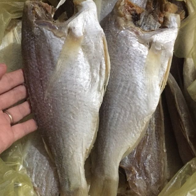 1kg CÁ LANH GẤC khô ngon