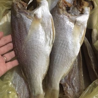 1kg cá lanh gấc khô ngon