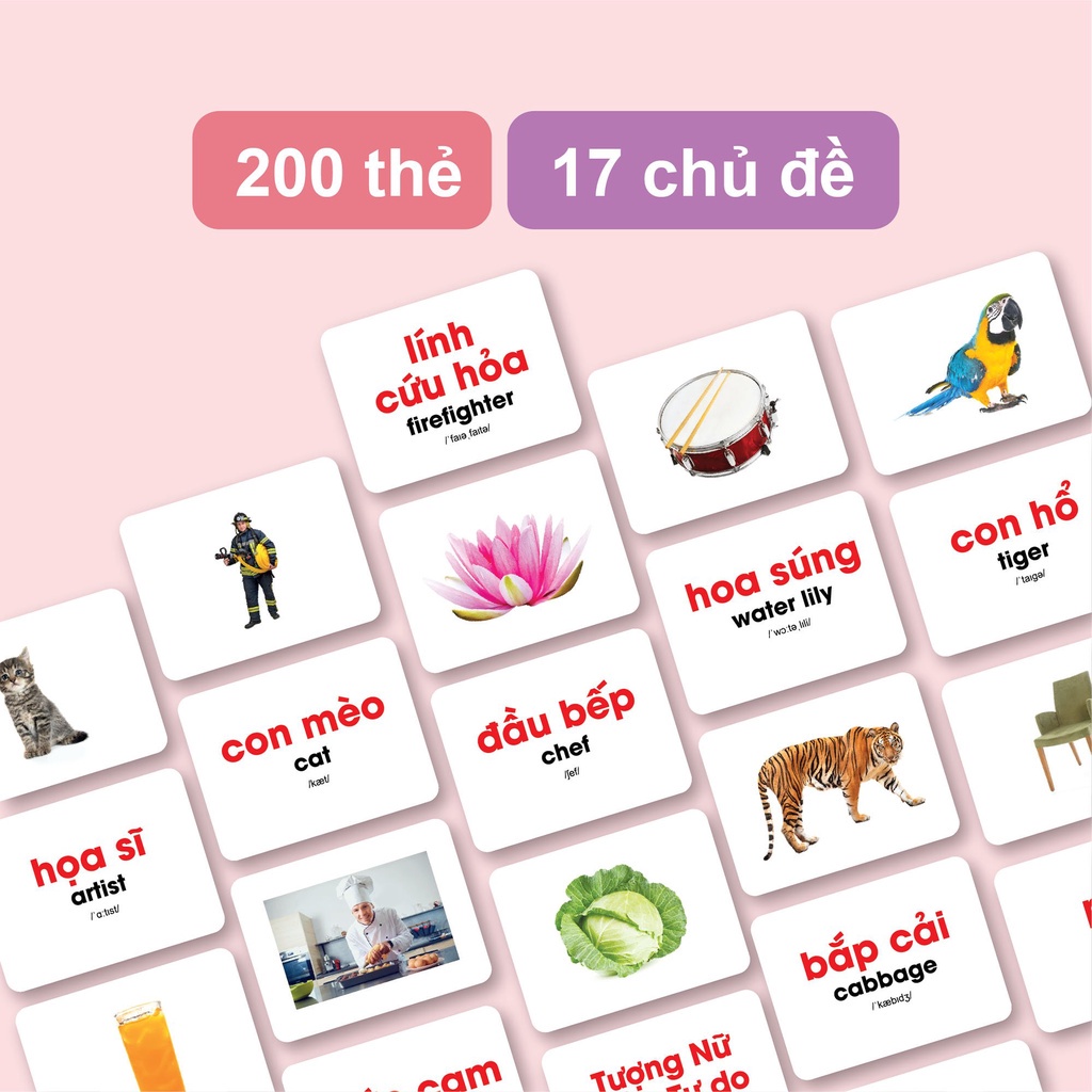 Flashcard - GDkids glenn doman thế giới xung quanh bộ 200 thẻ - Thẻ Học Thông Minh tiếng anh cho bé từ 0 đến 6 tuổi