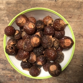 quả bồ hòn - xà phòng tự nhiên