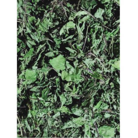 500gr lá bạc hà khô  hàng chuẩn loại 1 thơm ngon