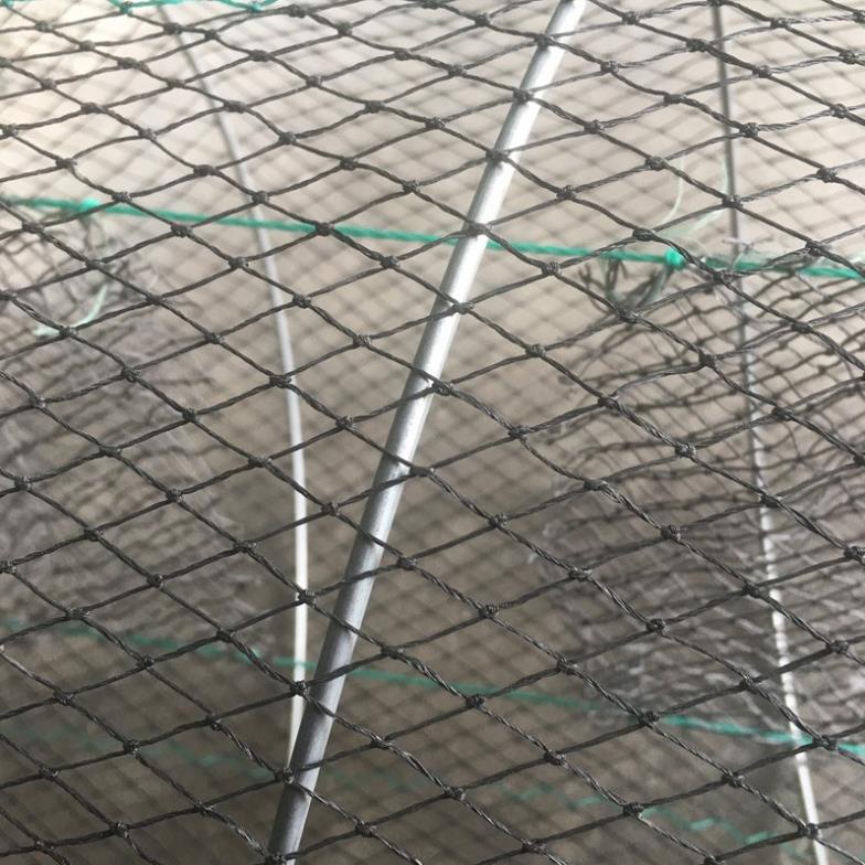 Lồng Lò Xo Chuyên Dụng Bắt Cua, Cá, Baba 30x60cm ( 1 lồng)