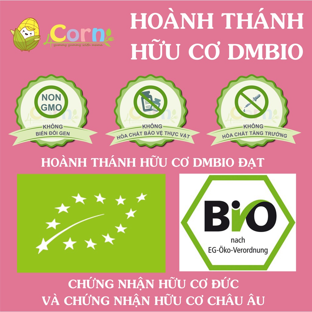 Hoành thánh hữu cơ DmBio - Đức - Cho bé 10m+