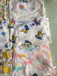 Sét 5b cotton giấy 13-25kg