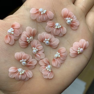 Hoa cúc ruby set 10b đủ nàu
