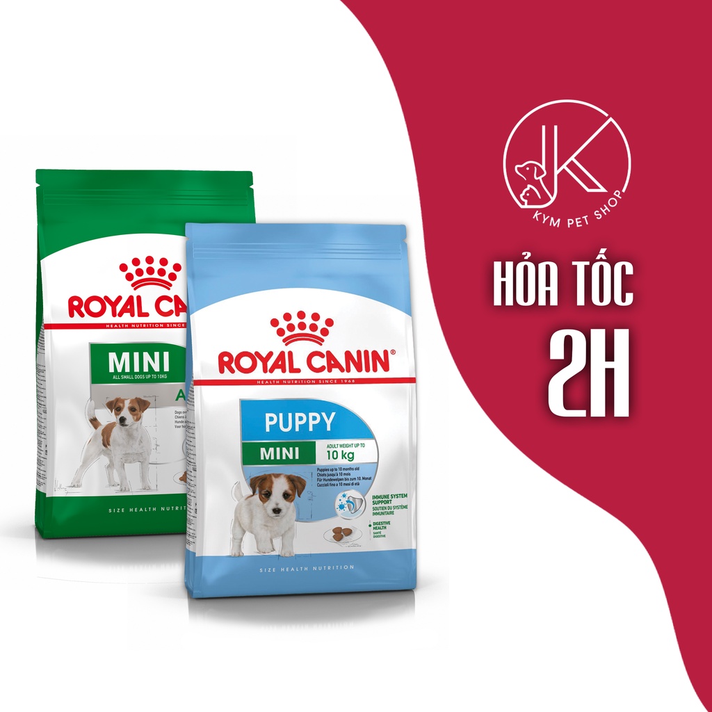 ROYAL CANIN MINI - Thức ăn hạt khô cho chó kích cỡ Mini (Tối đa dưới 10kg)