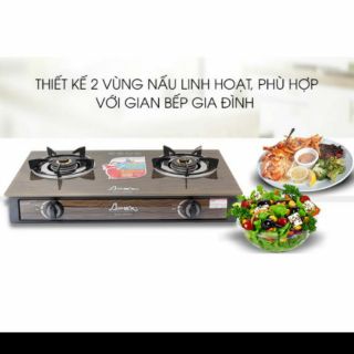 Bếp gas sunhouse apex apb3351