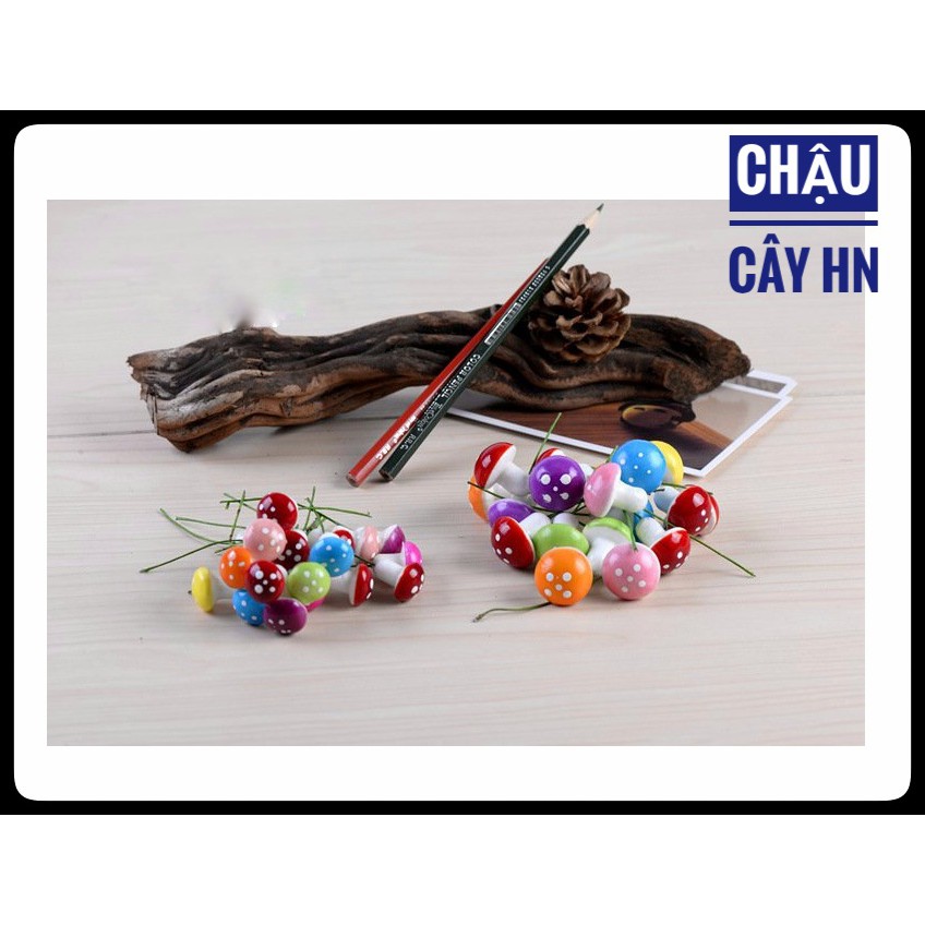Tiểu cảnh mini - Cây nấm xốp phụ kiện tiểu cảnh trang trí chậu cây