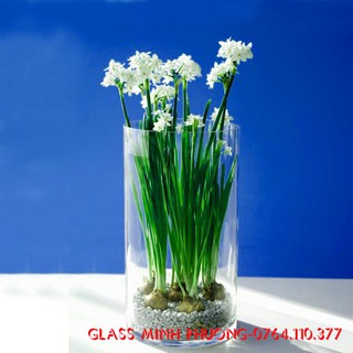 Ống thủy tinh cắm hoa trang trí dạng trụ tròn D12x20
